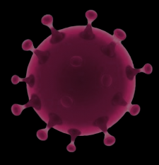 Virus info Covid-19